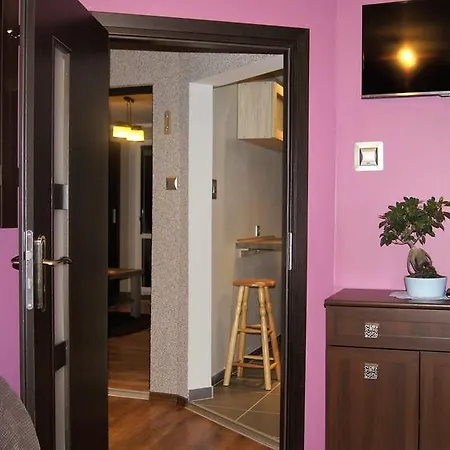 Apartament Olivier Bad Altheide Exterior foto